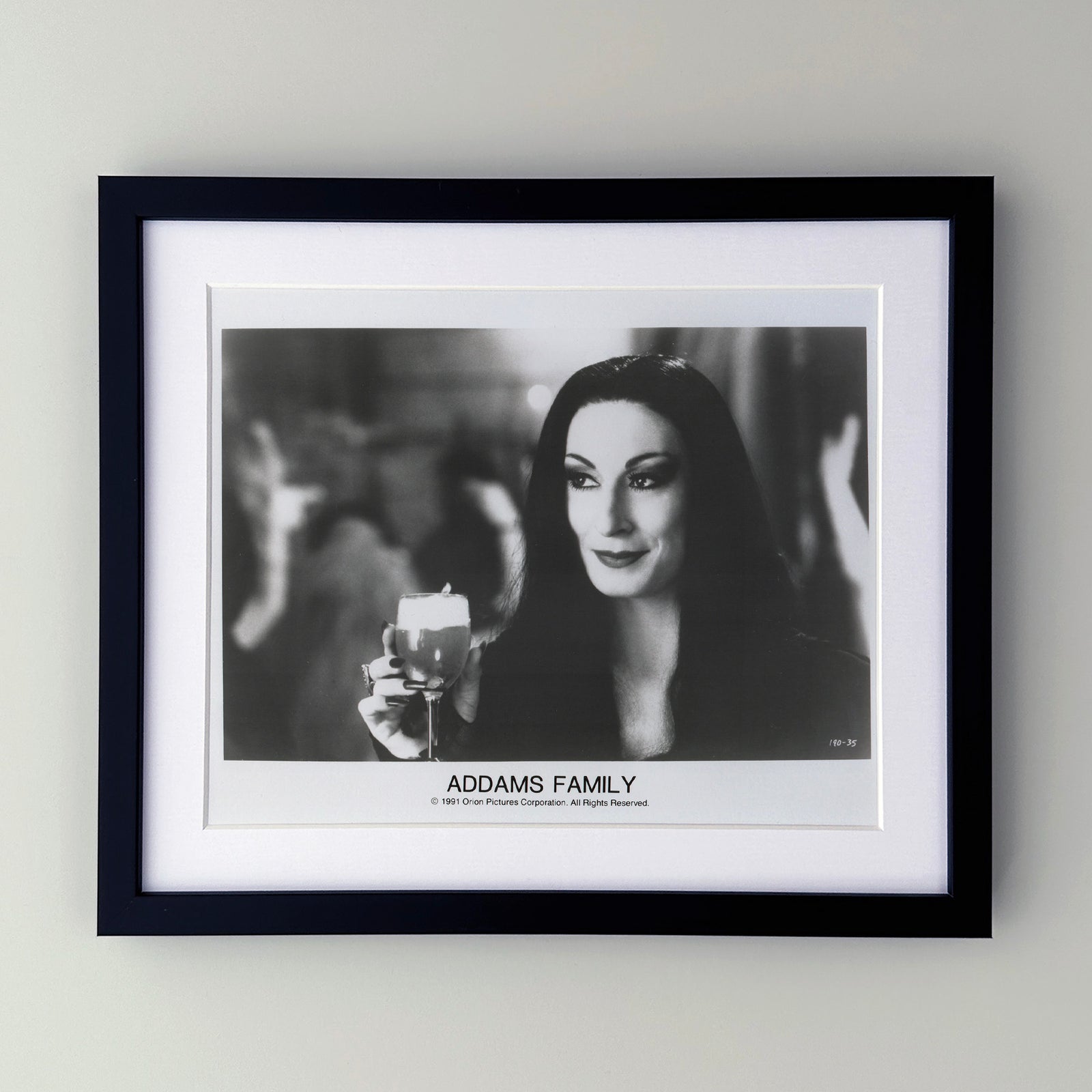 Addams Family 1991 Film Movie Press Publicity Still Framed