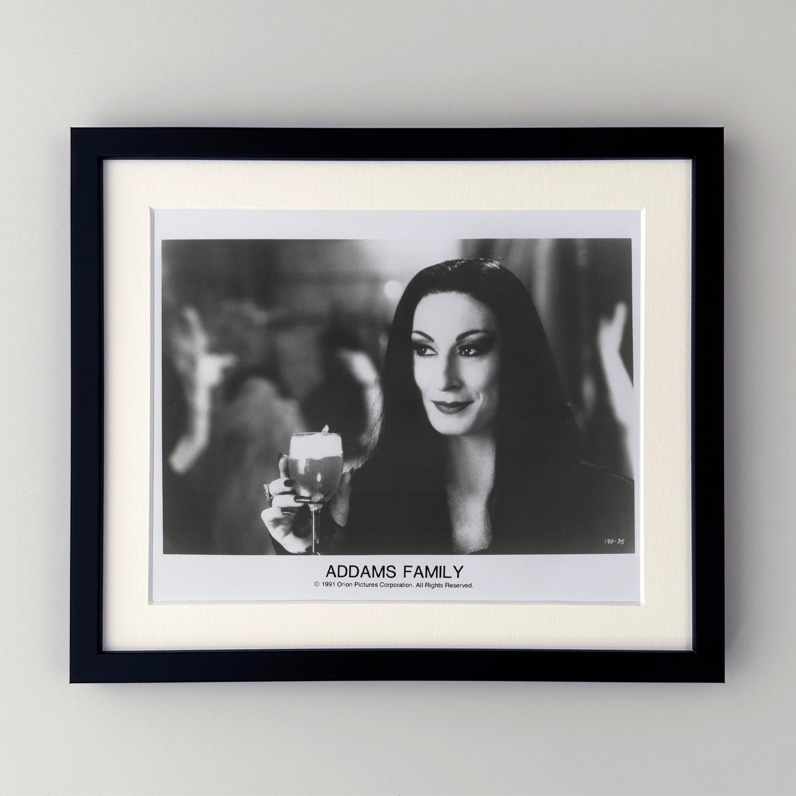Addams Family 1991 Film Movie Press Publicity Still Framed