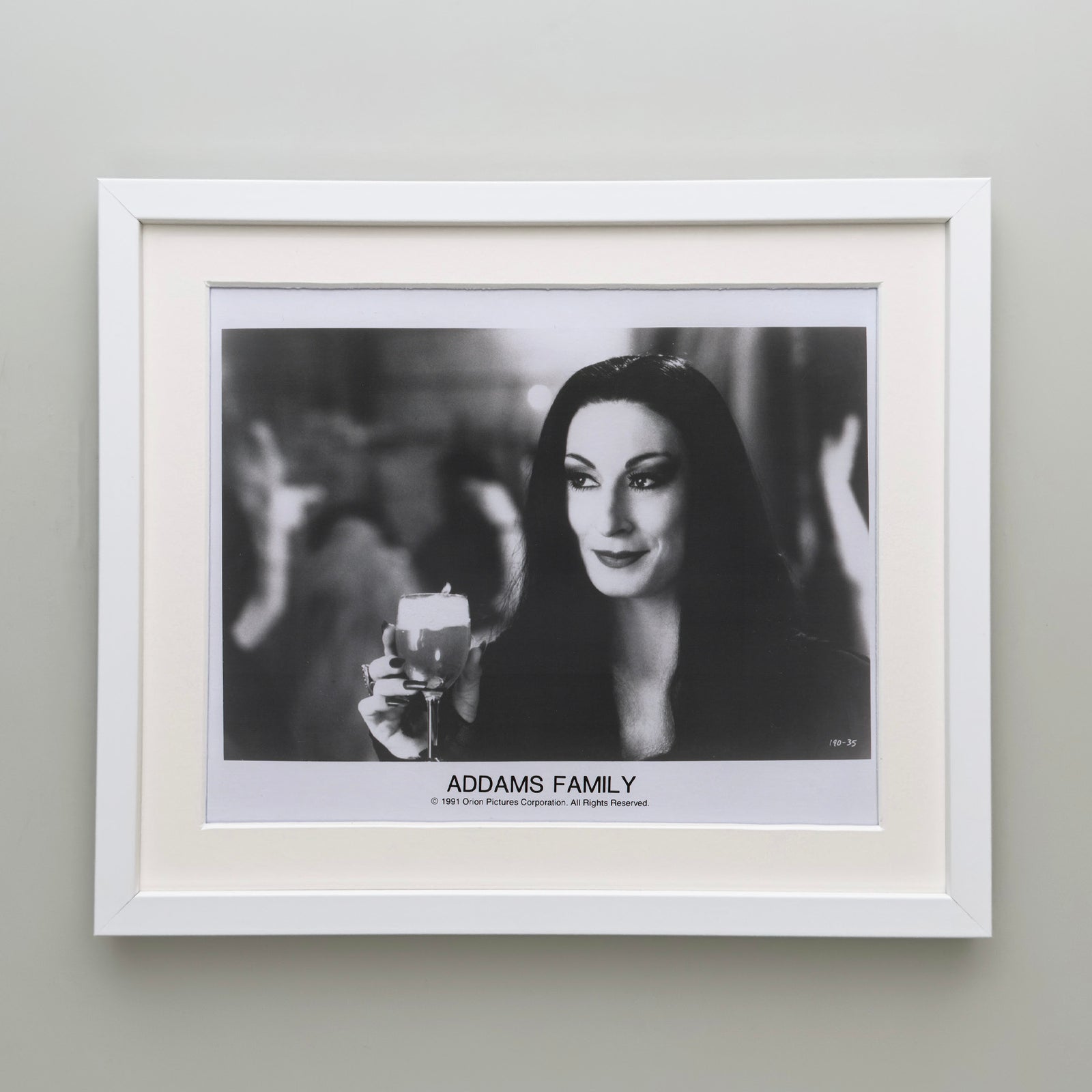 Addams Family 1991 Film Movie Press Publicity Still Framed