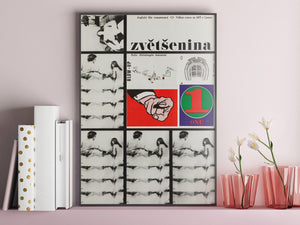 Blow-up 1968 Czech A3 Film Movie Poster, Milan Grygar