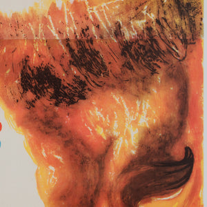 Cyrk Polish Circus Poster Clown and Lion R1982, Miedza-Tomaszewski - detail