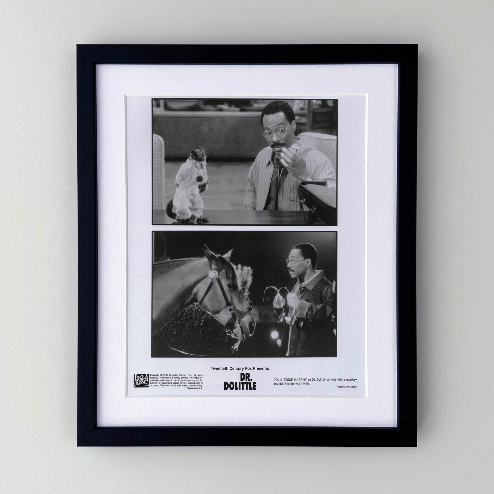 Doctor Dolittle 1998 Film Movie Press Publicity Still Framed