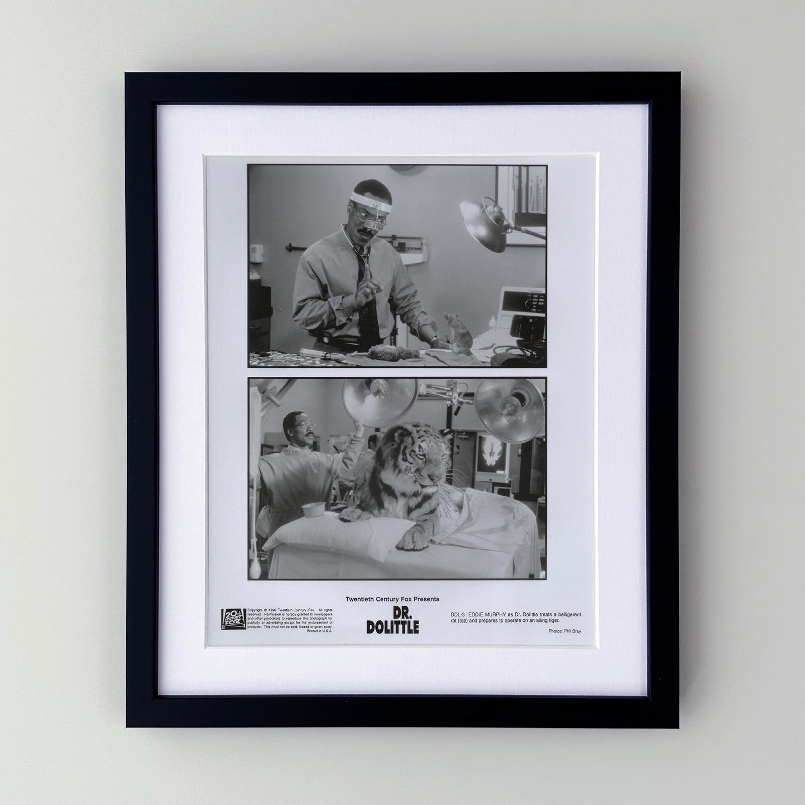 Doctor Dolittle 1998 Film Movie Press Publicity Still Framed