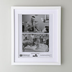 Doctor Dolittle 1998 Film Movie Press Publicity Still Framed