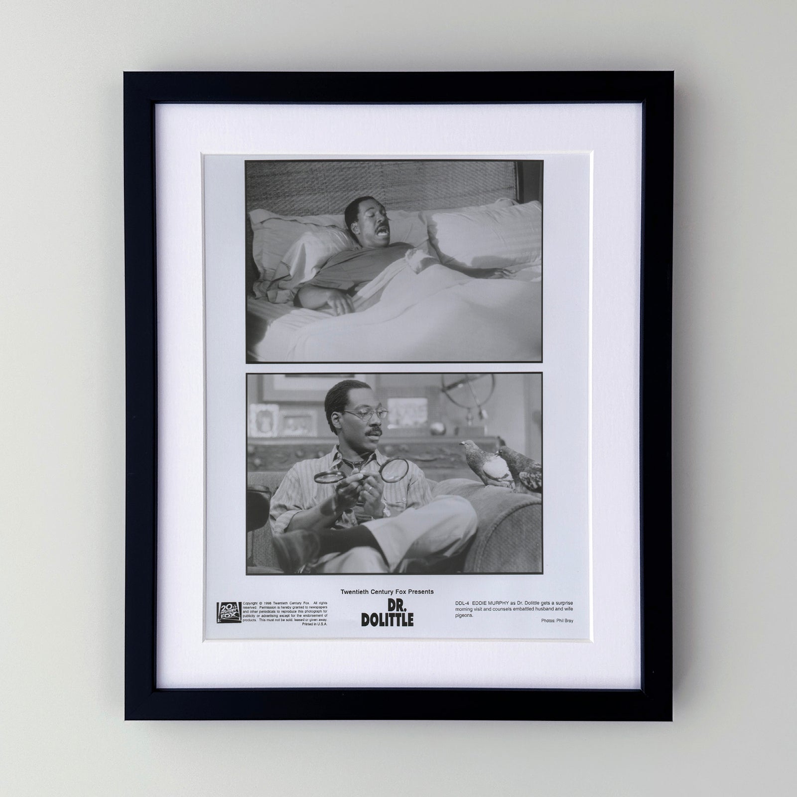 Doctor Dolittle 1998 Film Movie Press Publicity Still Framed