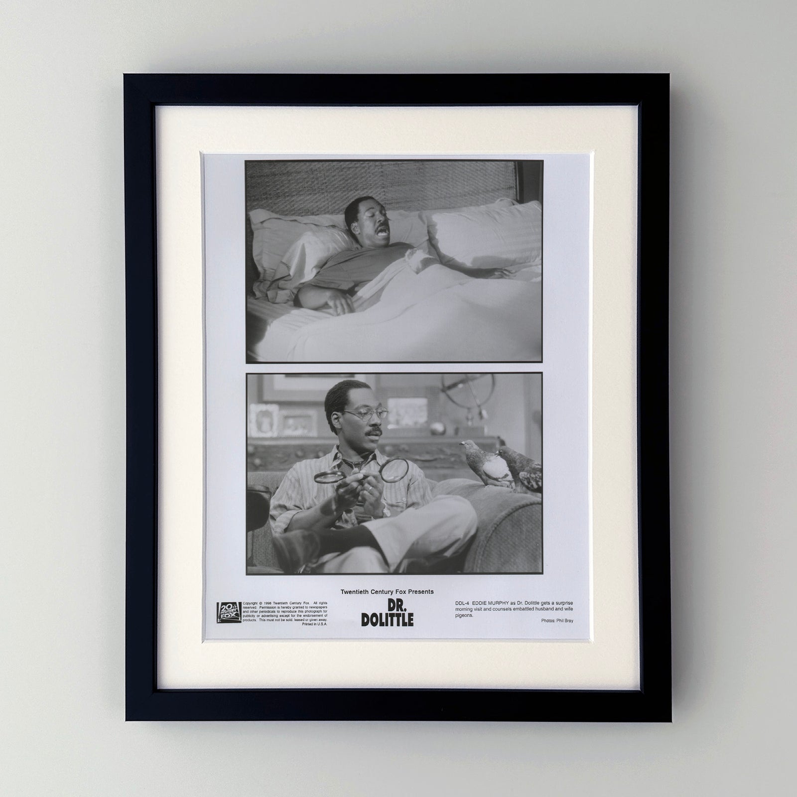 Doctor Dolittle 1998 Film Movie Press Publicity Still Framed