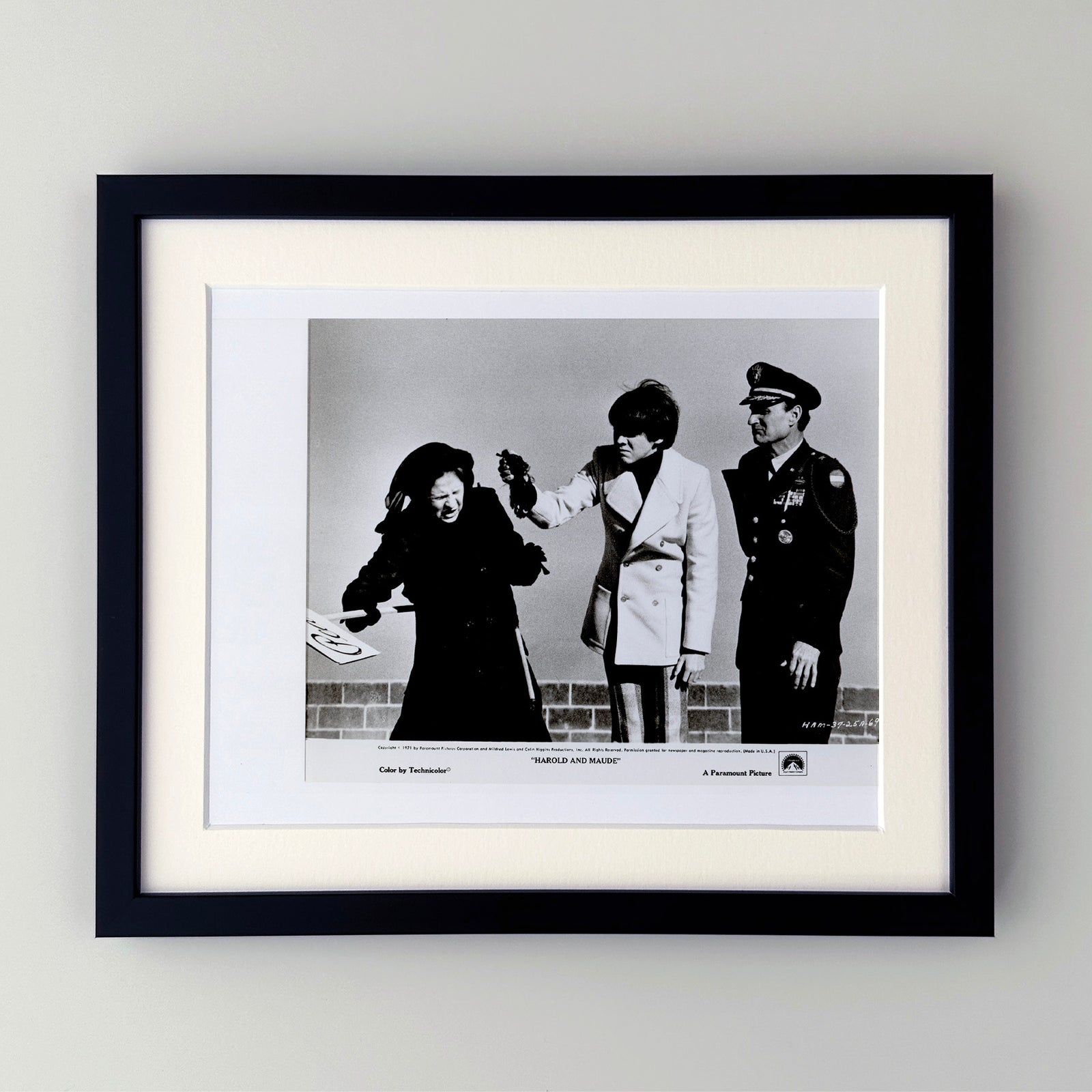 Harold and Maude 1971 Film Movie Press Publicity Still Framed