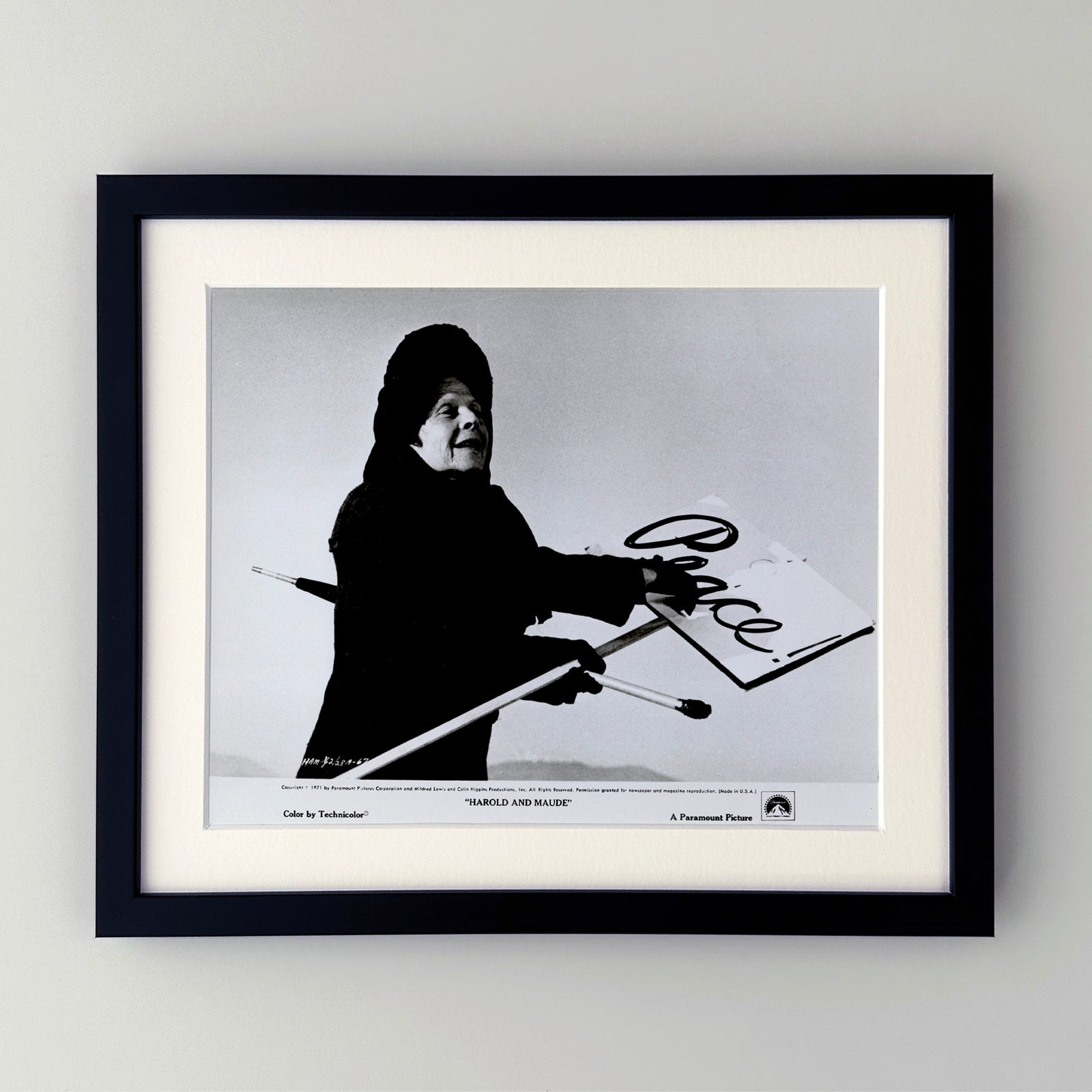 Harold and Maude 1971 Film Movie Press Publicity Still Framed