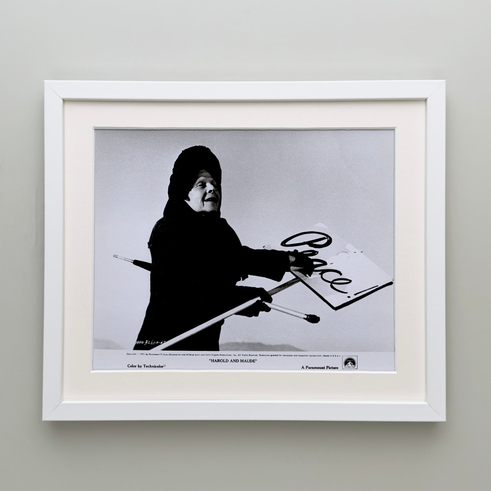 Harold and Maude 1971 Film Movie Press Publicity Still Framed