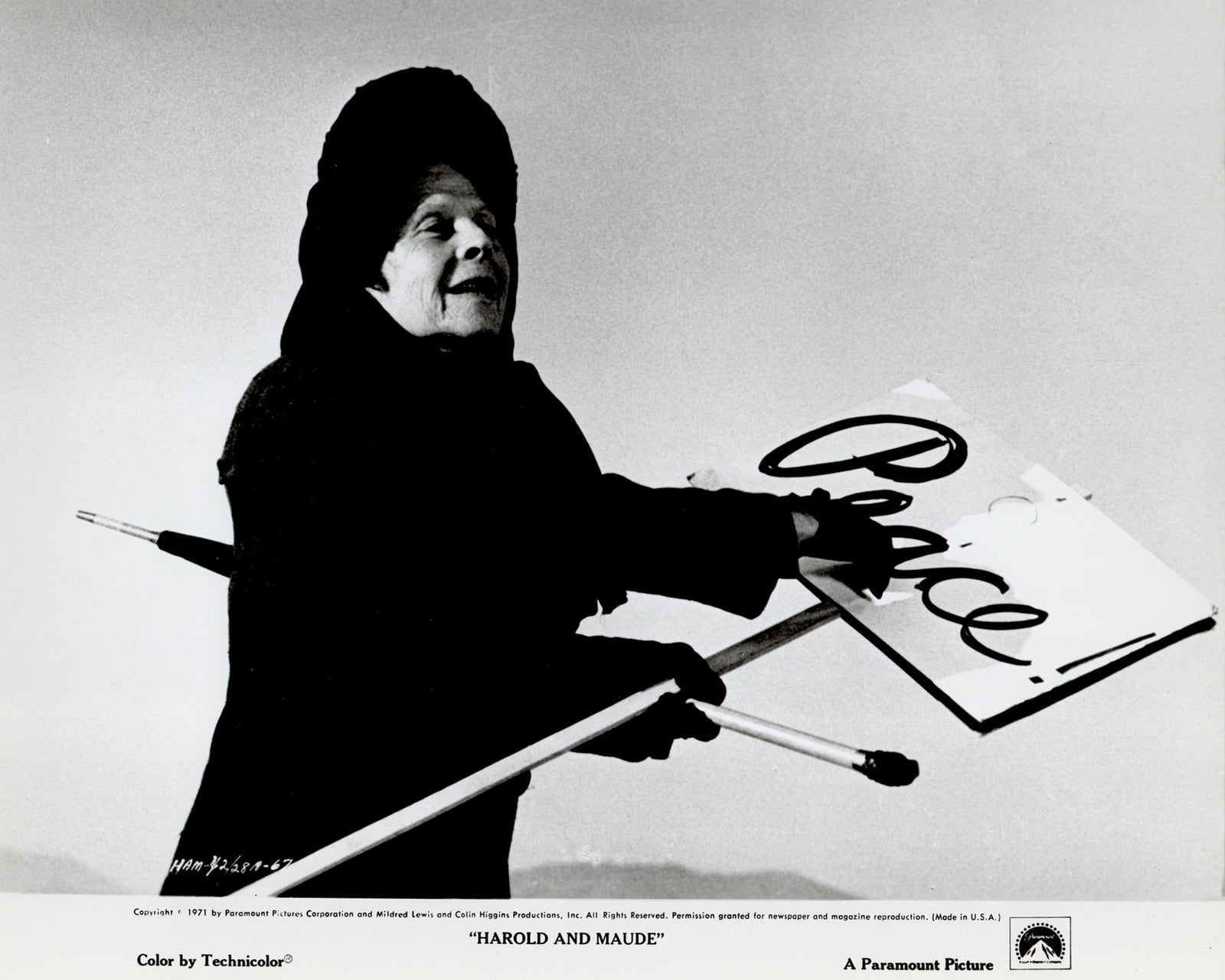Harold and Maude 1971 Film Movie Press Publicity Still Framed