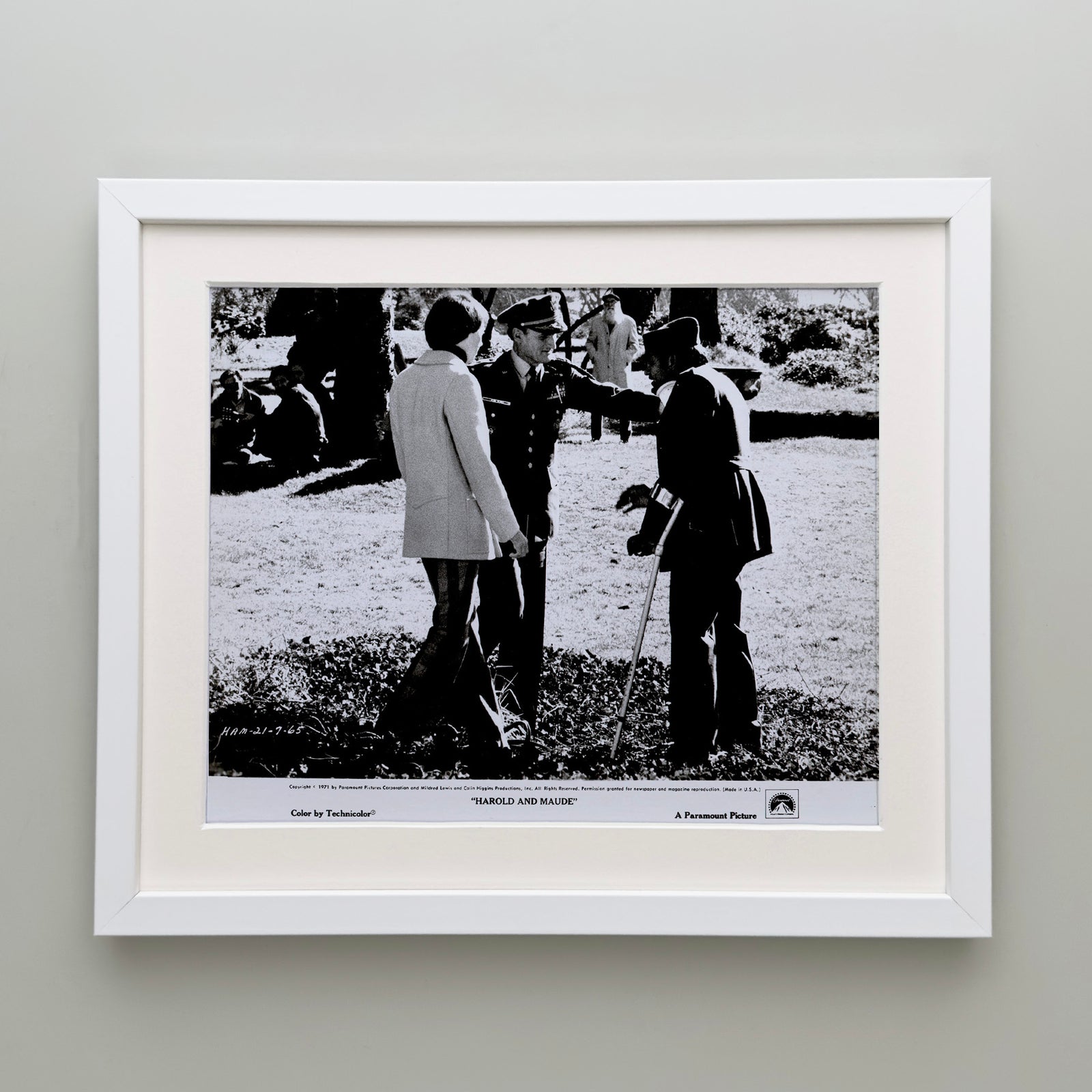 Harold and Maude 1971 Film Movie Press Publicity Still Framed
