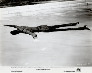 Harold and Maude 1971 Film Movie Press Publicity Still Framed