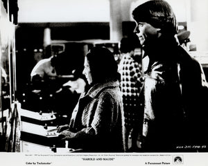 Harold and Maude 1971 Film Movie Press Publicity Still Framed