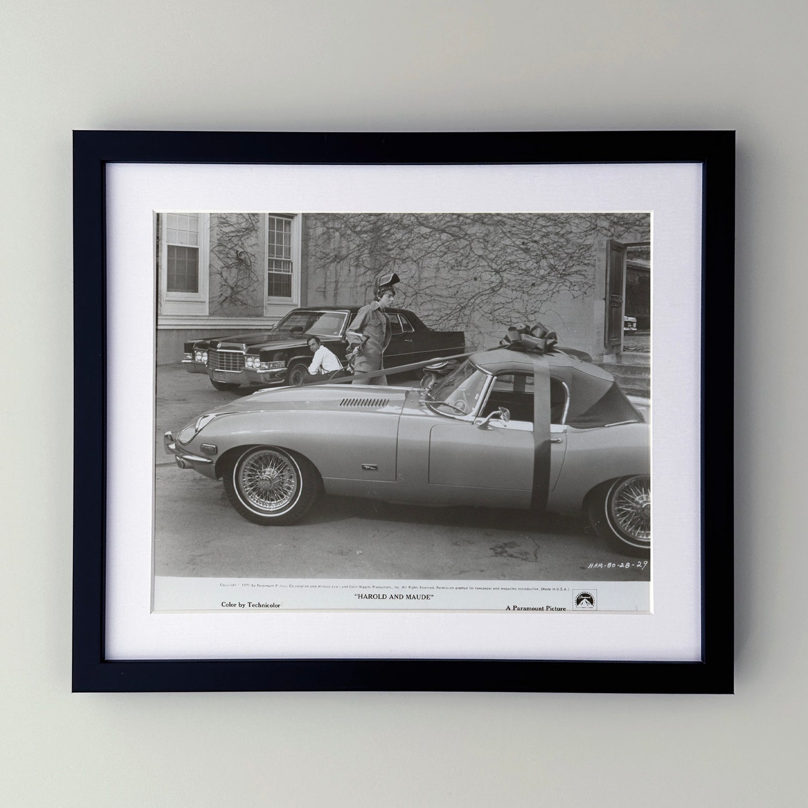 Harold and Maude 1971 Film Movie Press Publicity Still Framed