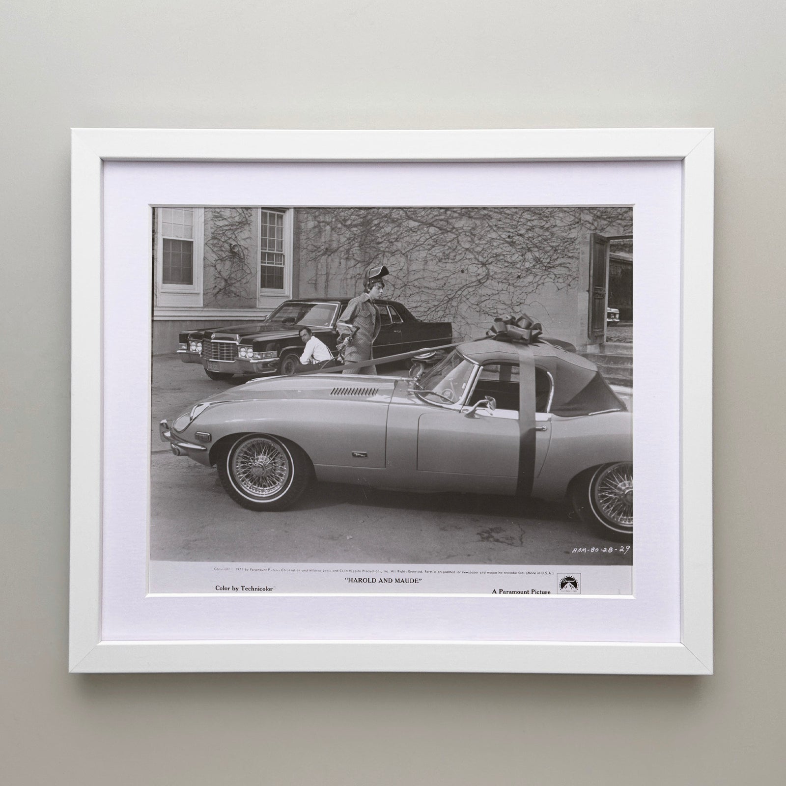 Harold and Maude 1971 Film Movie Press Publicity Still Framed