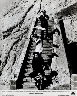 Harold and Maude 1971 Film Movie Press Publicity Still Framed