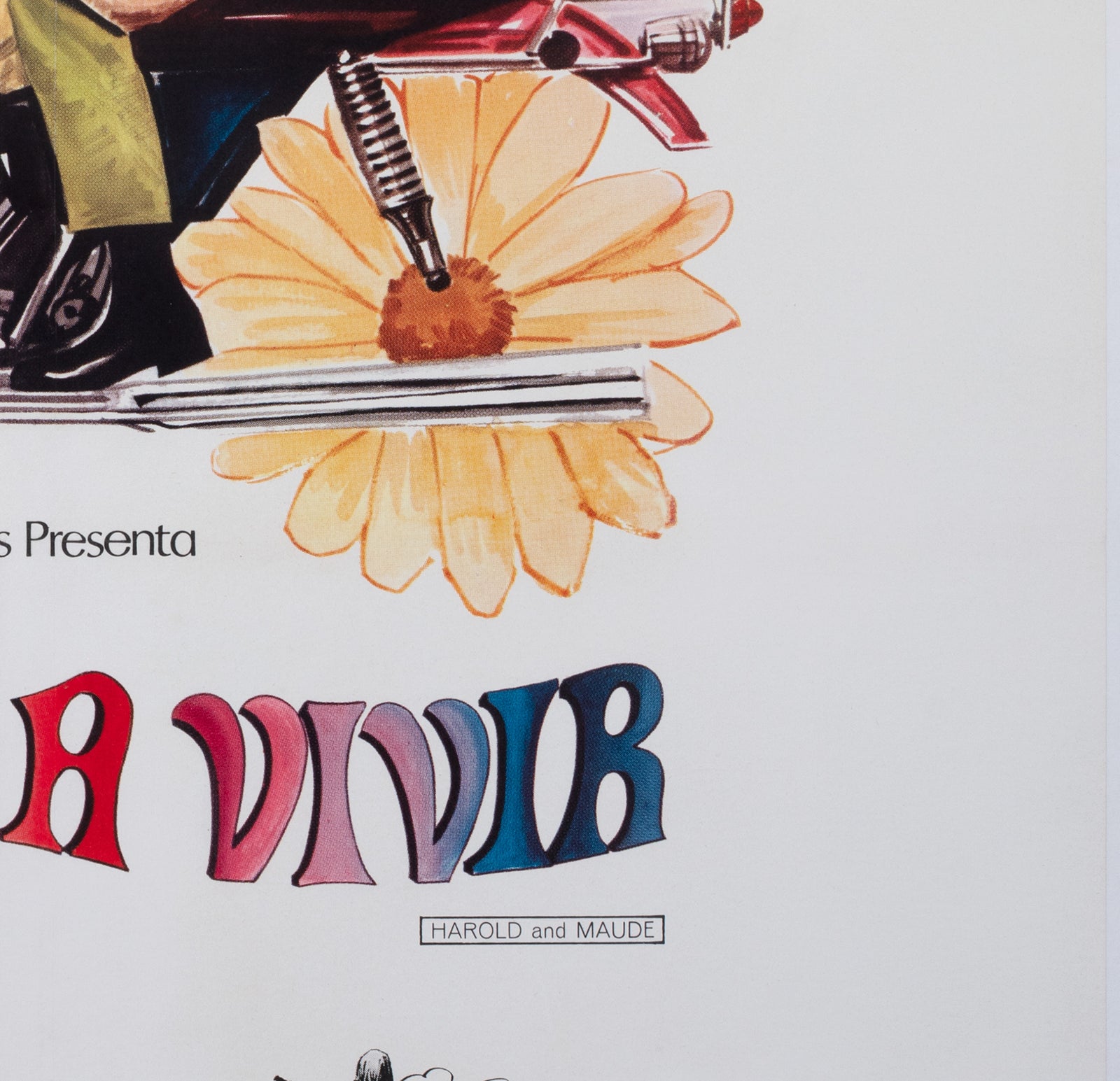 Harold and Maude 1972 Argentinian 1 Sheet Film Movie Poster - detail