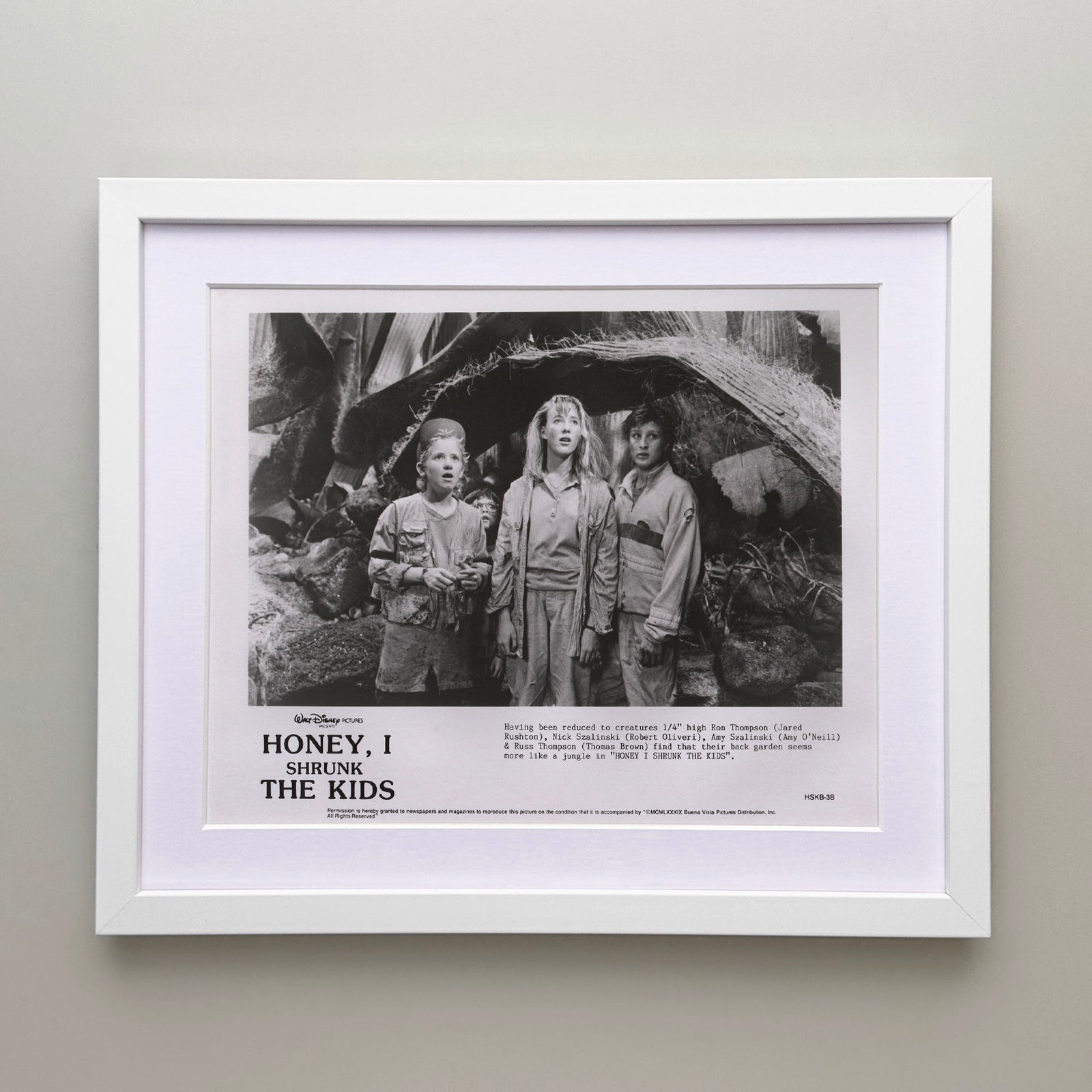 Honey I Shrunk the Kids 1989 Film Movie Press Publicity Still Framed