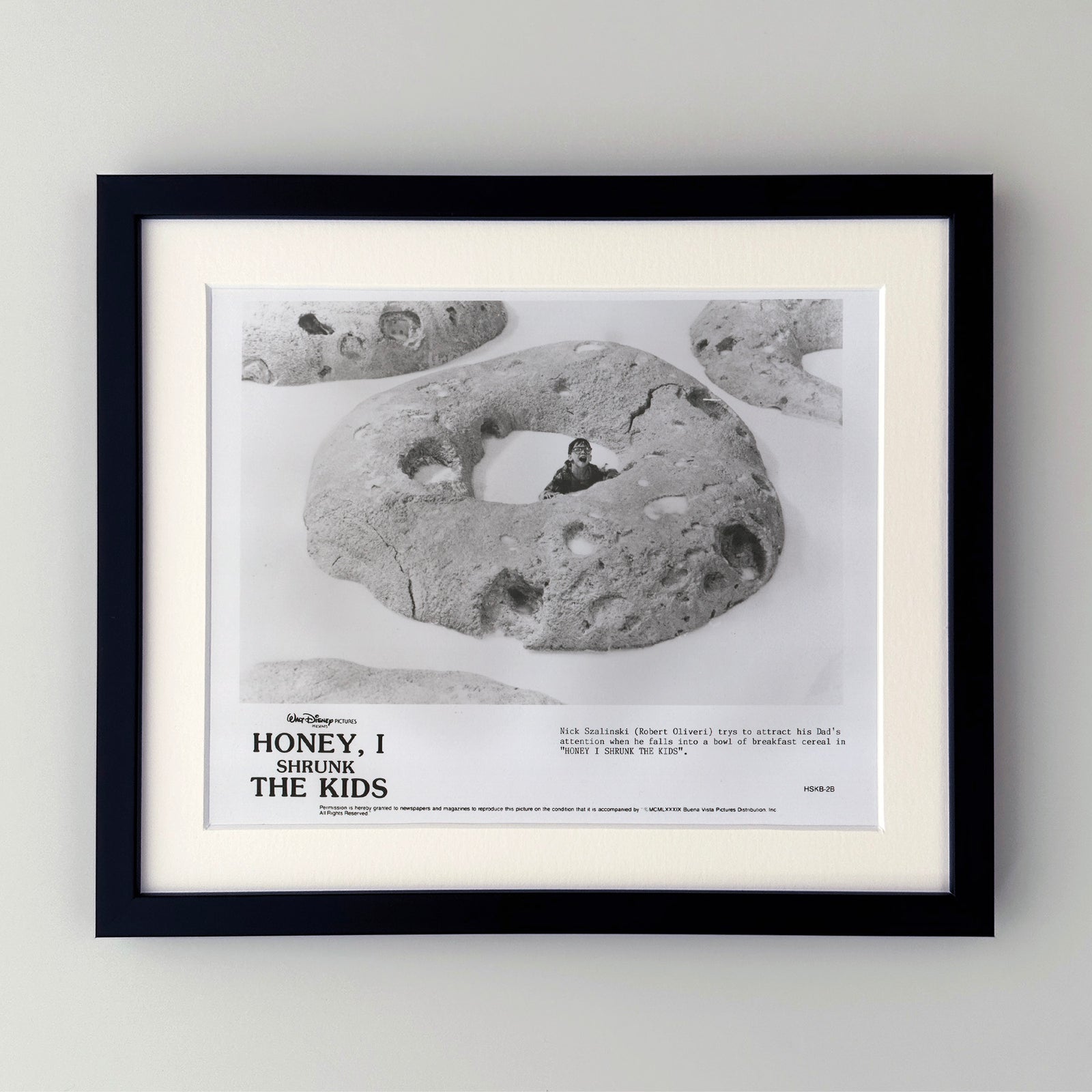 Honey I Shrunk the Kids 1989 Film Movie Press Publicity Still Framed