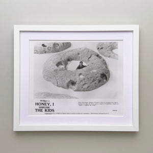 Honey I Shrunk the Kids 1989 Film Movie Press Publicity Still Framed