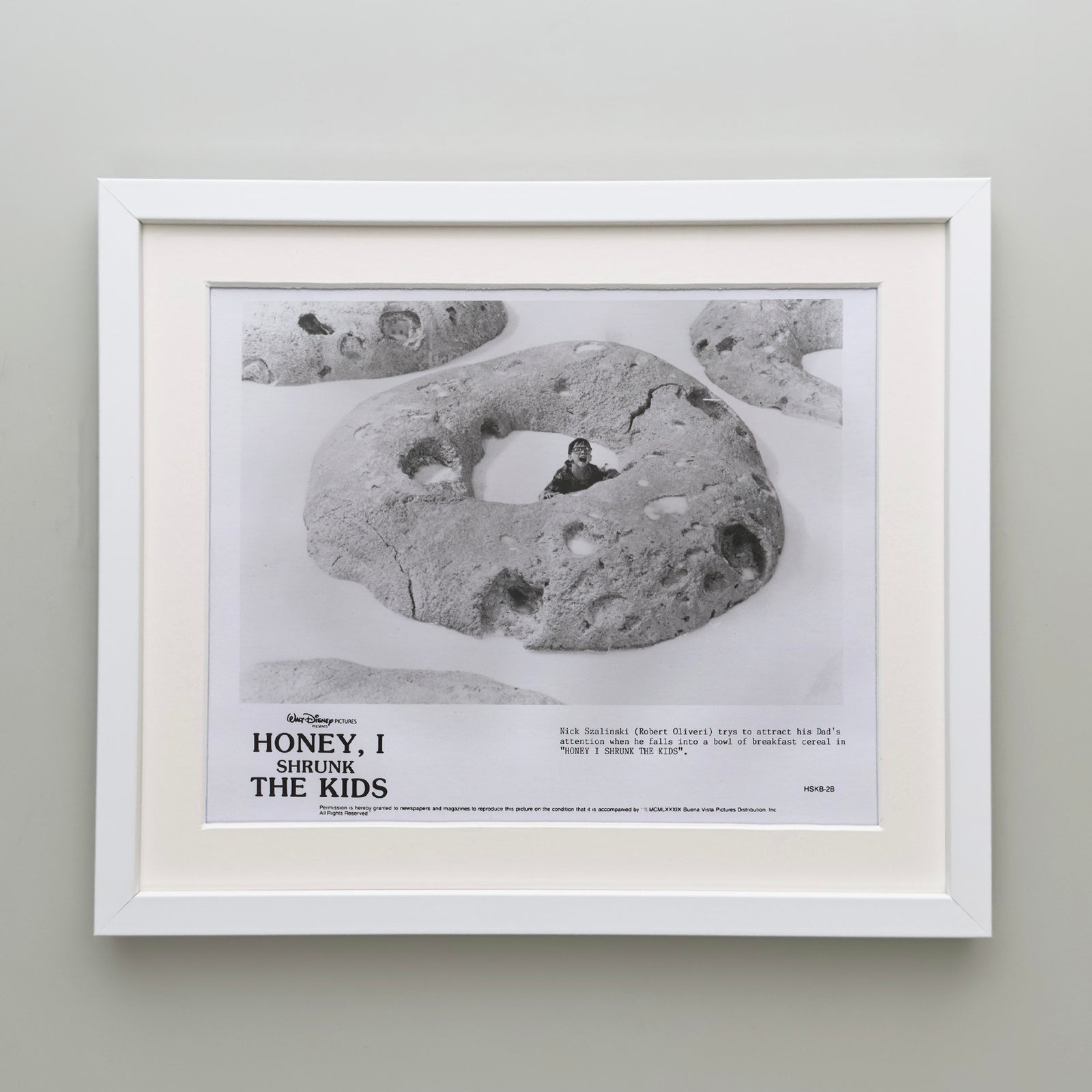 Honey I Shrunk the Kids 1989 Film Movie Press Publicity Still Framed