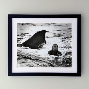 Jaws 2 1978 Publicity Film Movie Press Still Framed