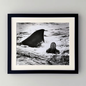 Jaws 2 1978 Publicity Film Movie Press Still Framed