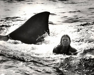 Jaws 2 1978 Publicity Film Movie Press Still Framed