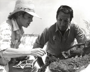 Jaws 2 1978 Publicity Film Movie Press Still Framed