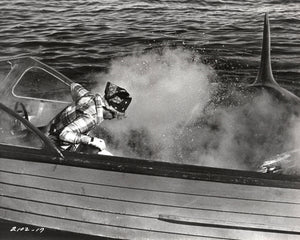 Jaws 2 1978 Publicity Film Movie Press Still Framed