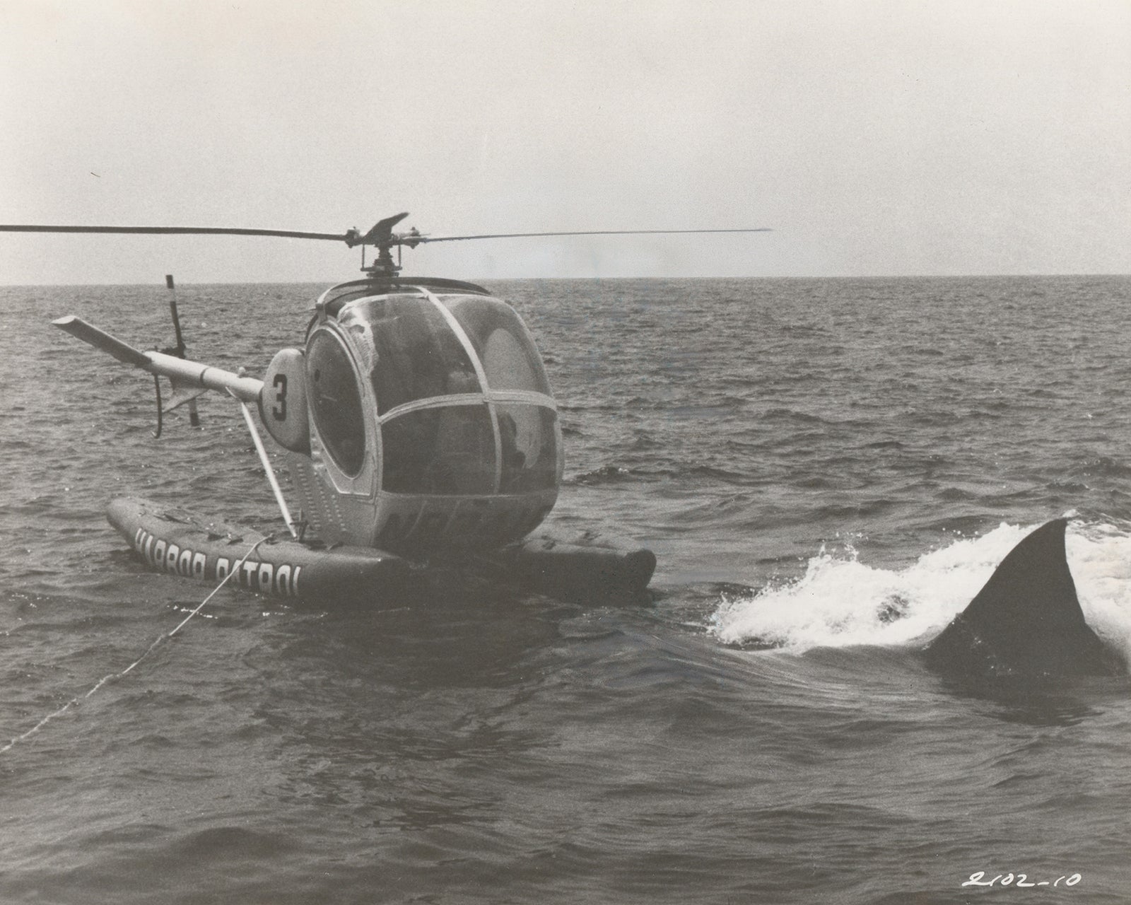 Jaws 2 (1978) Film Movie Press Publicity Still Framed