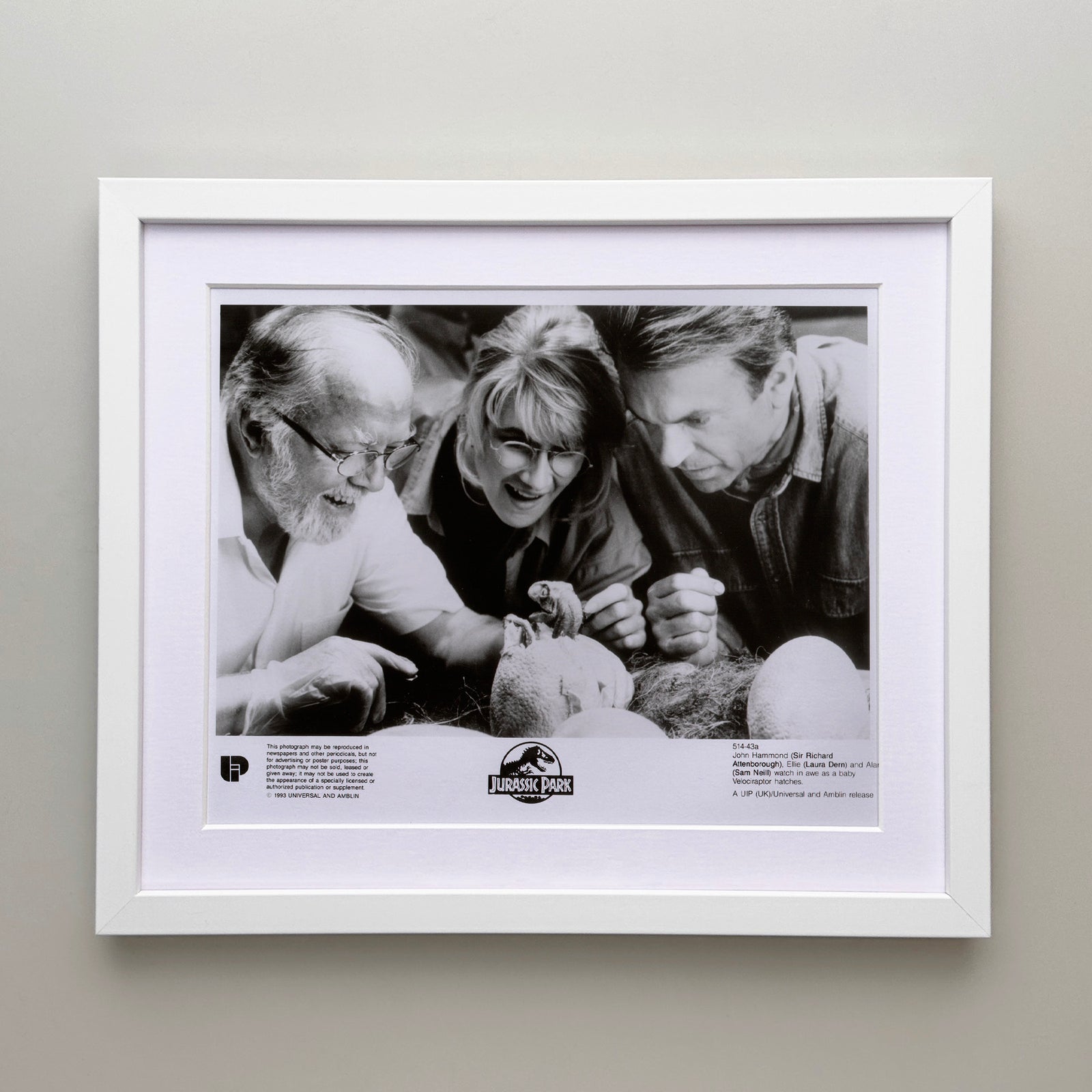 Jurassic Park 1993 Film Movie Press Publicity Still Framed
