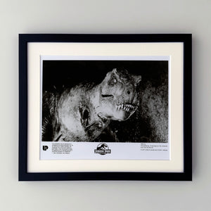 Jurassic Park 1993 Film Movie Press Publicity Still Framed