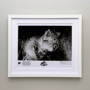 Jurassic Park 1993 Film Movie Press Publicity Still Framed