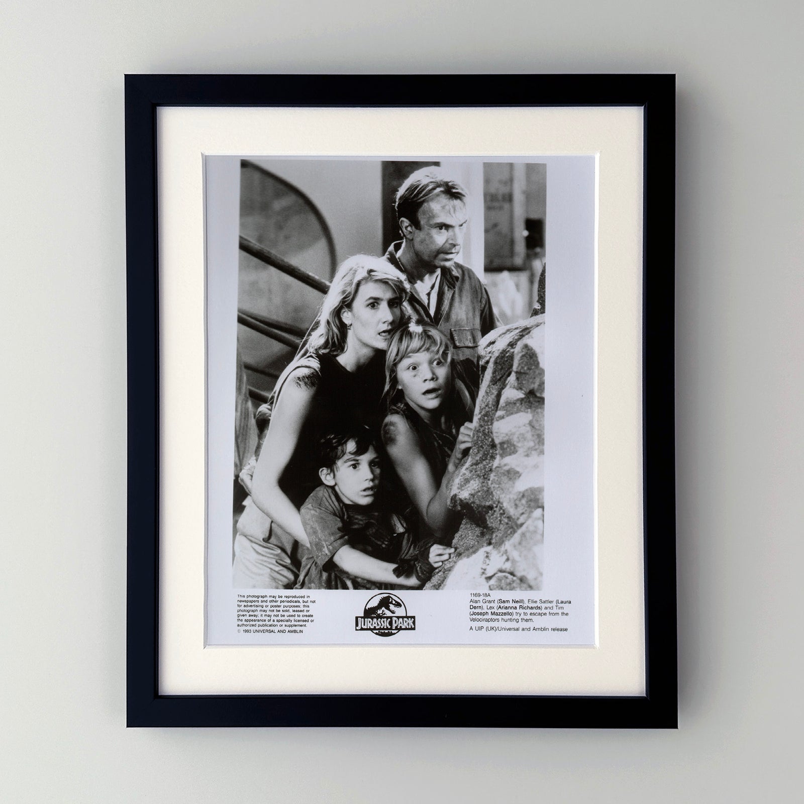 Jurassic Park 1993 Film Movie Press Publicity Still Framed