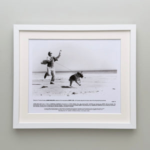 K 9 1989 Film Movie Press Publicity Still Framed