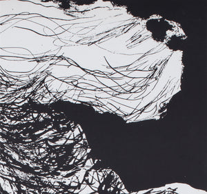 La Belle et la Bete c1960 German A1 Film Movie Poster, Baumgart - detail