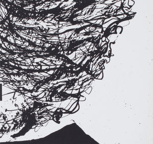 La Belle et la Bete c1960 German A1 Film Movie Poster, Baumgart - detail