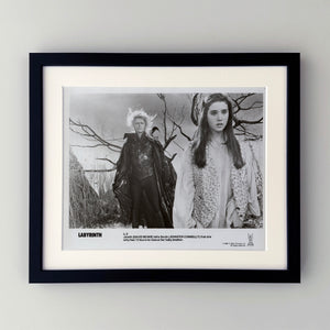 Labyrinth 1986 Publicity Film Movie Press Still Framed