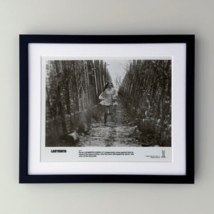 Labyrinth 1986 Publicity Film Movie Press Still Framed