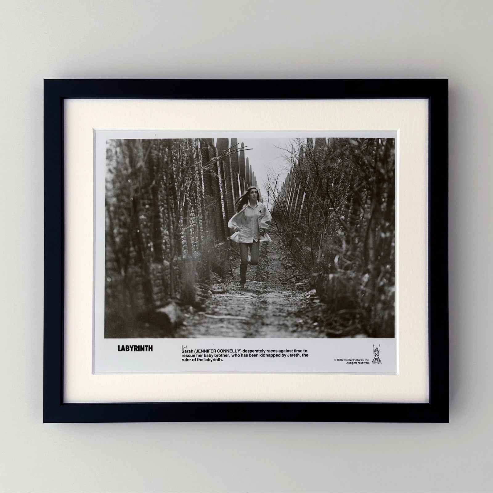 Labyrinth 1986 Publicity Film Movie Press Still Framed