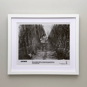 Labyrinth 1986 Publicity Film Movie Press Still Framed