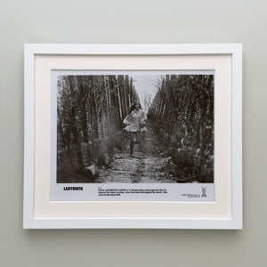 Labyrinth 1986 Publicity Film Movie Press Still Framed