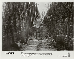 Labyrinth 1986 Publicity Film Movie Press Still Framed