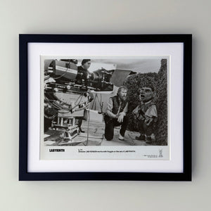 Labyrinth 1986 Publicity Film Movie Press Still Framed