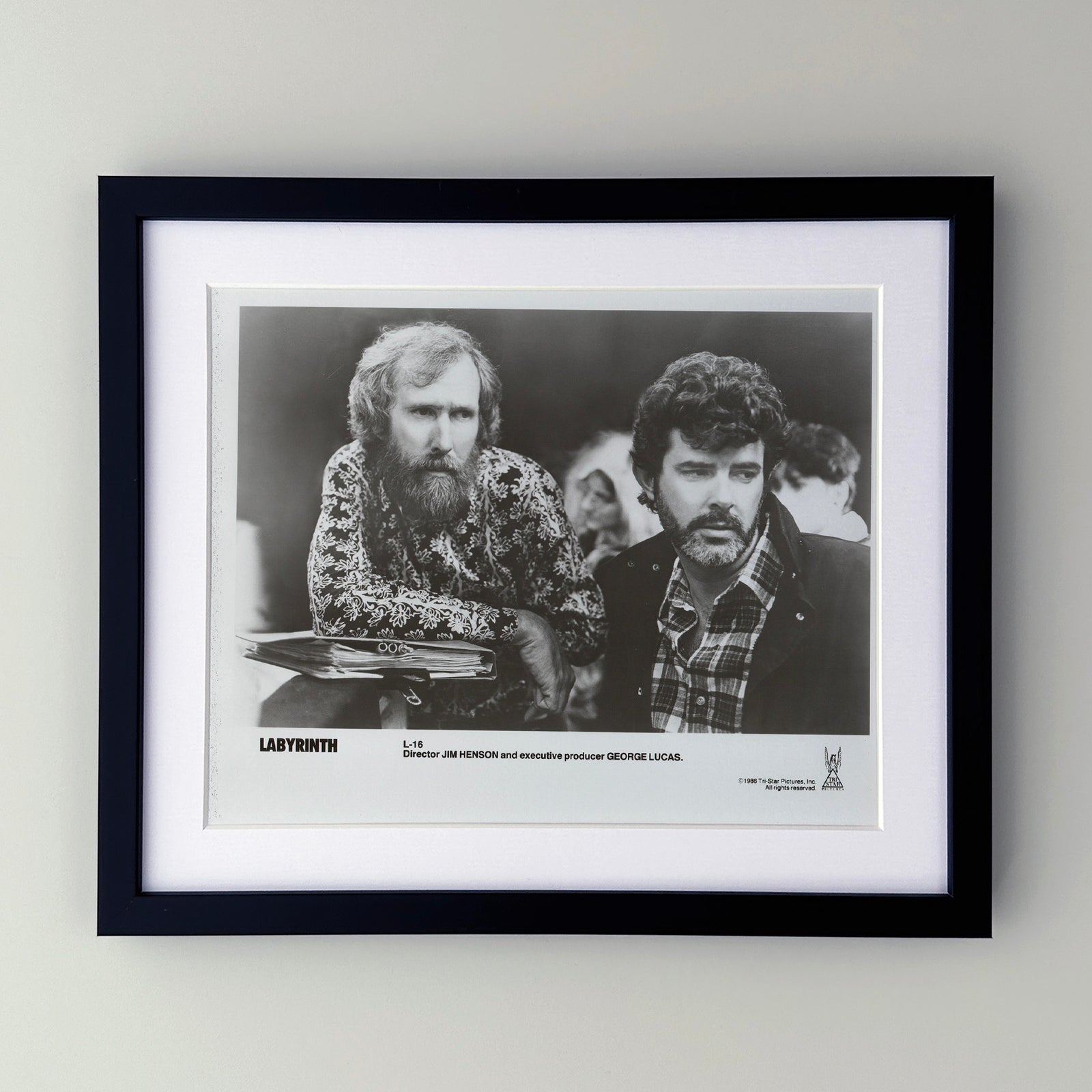 Labyrinth 1986 Film Movie Press Publicity Still Framed