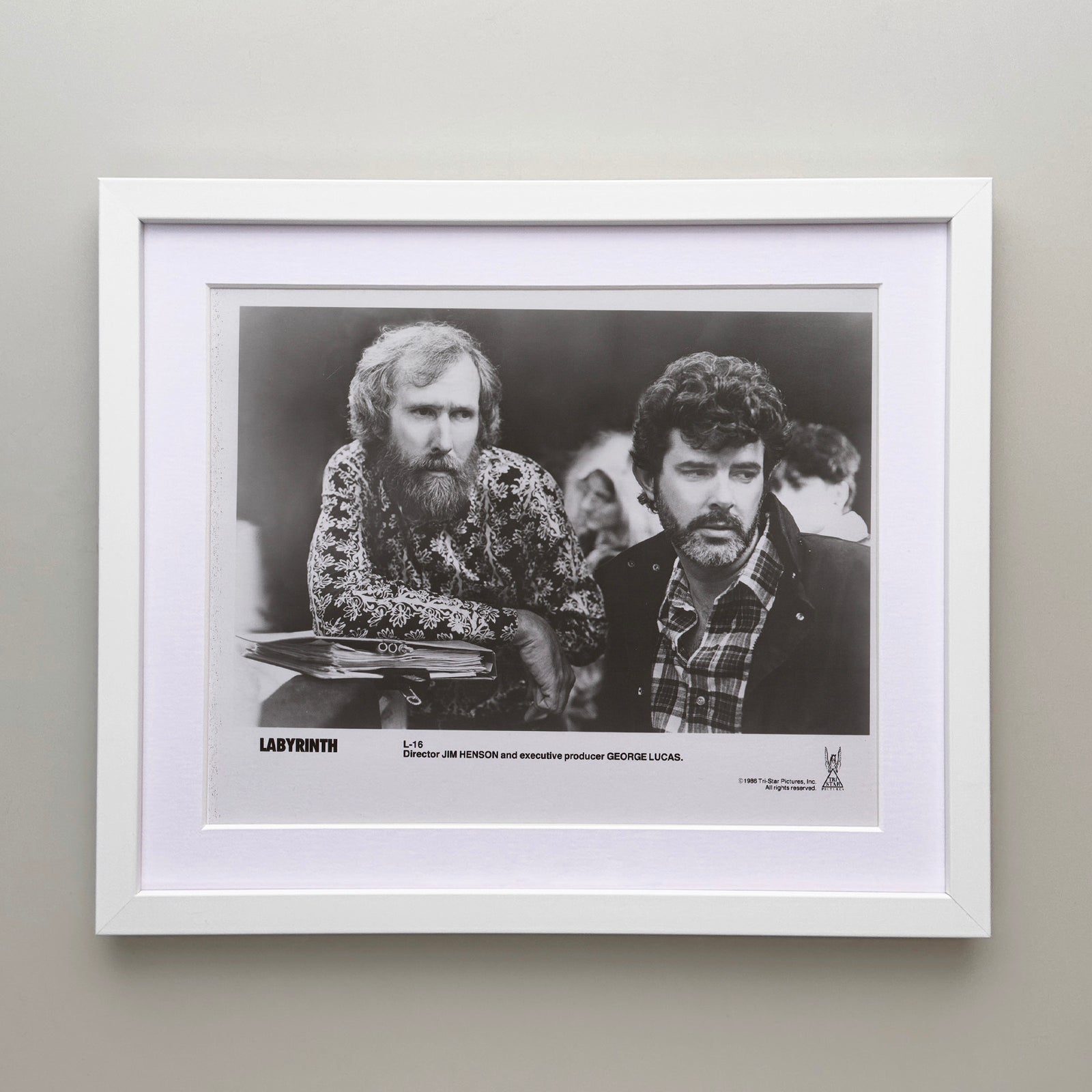 Labyrinth 1986 Film Movie Press Publicity Still Framed