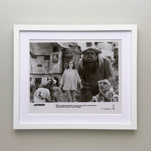 Labyrinth 1986 Publicity Film Movie Press Still Framed