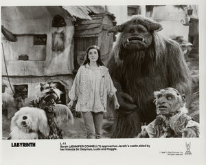 Labyrinth 1986 Publicity Film Movie Press Still Framed