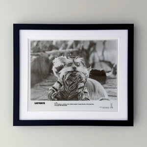 Labyrinth 1986 Publicity Film Movie Press Still Framed